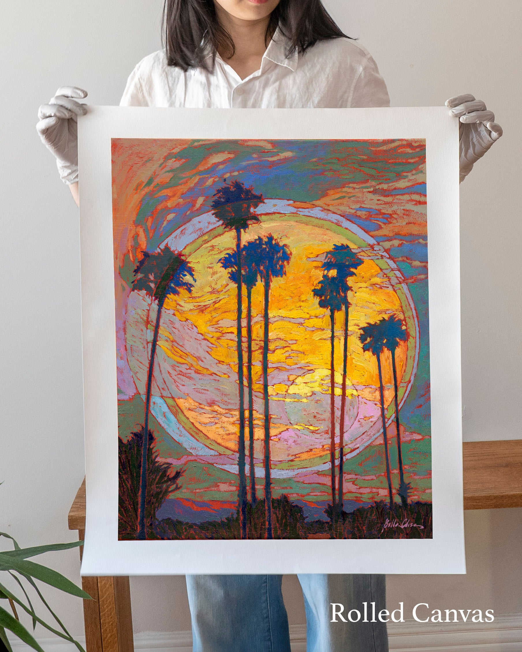 NO1_Rolled.jpg?v=1722635806&